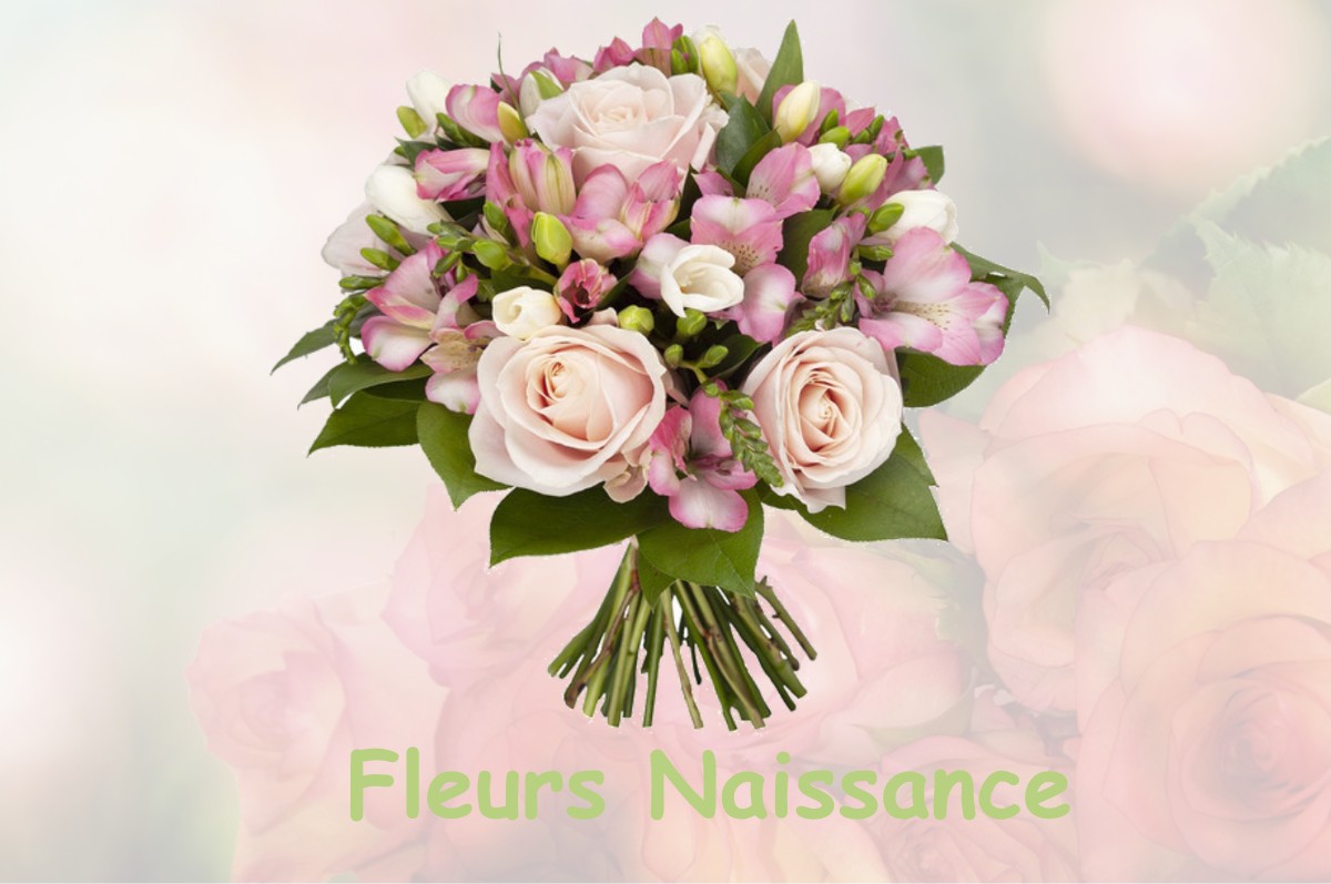 fleurs naissance COULLONS