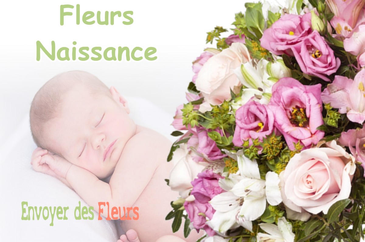 lIVRAISON FLEURS NAISSANCE à COULLONS